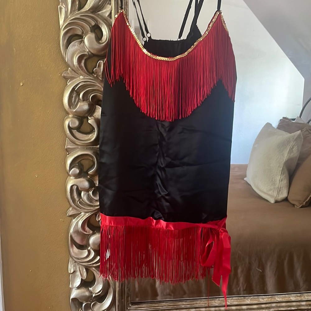 Halloween 1920’s Flapper Dress